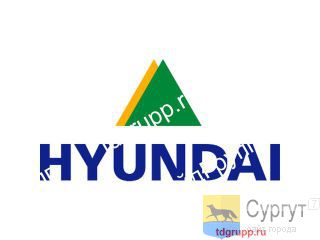 31Q6-16110    Hyundai R210LC-9 